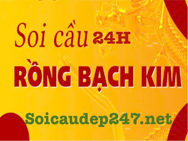 cao-thu-soi-cau-24h